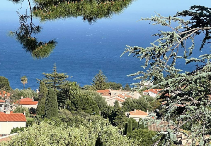 Villa i Roquebrune-Cap-Martin, Alpes-Maritimes, Roquebrune-Cap-Martin - € 4.800.000 | Ref: dan - foto 1